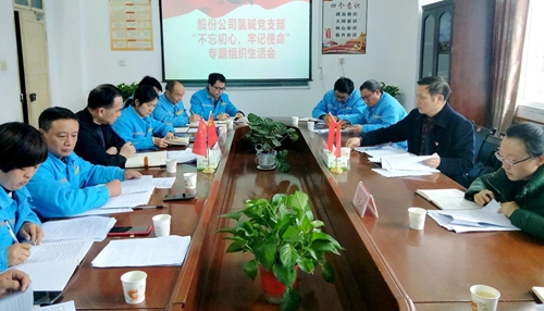 向宇飛列席指導股份公司氯堿黨支部“不忘初心、牢記使命”專題組織生活會(圖1)