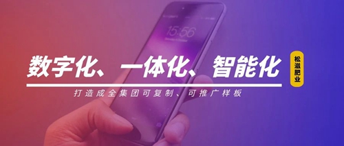 線(xiàn)上辦公零接觸！松滋肥業(yè)信息化在戰(zhàn)“疫”之中顯身手(圖1)