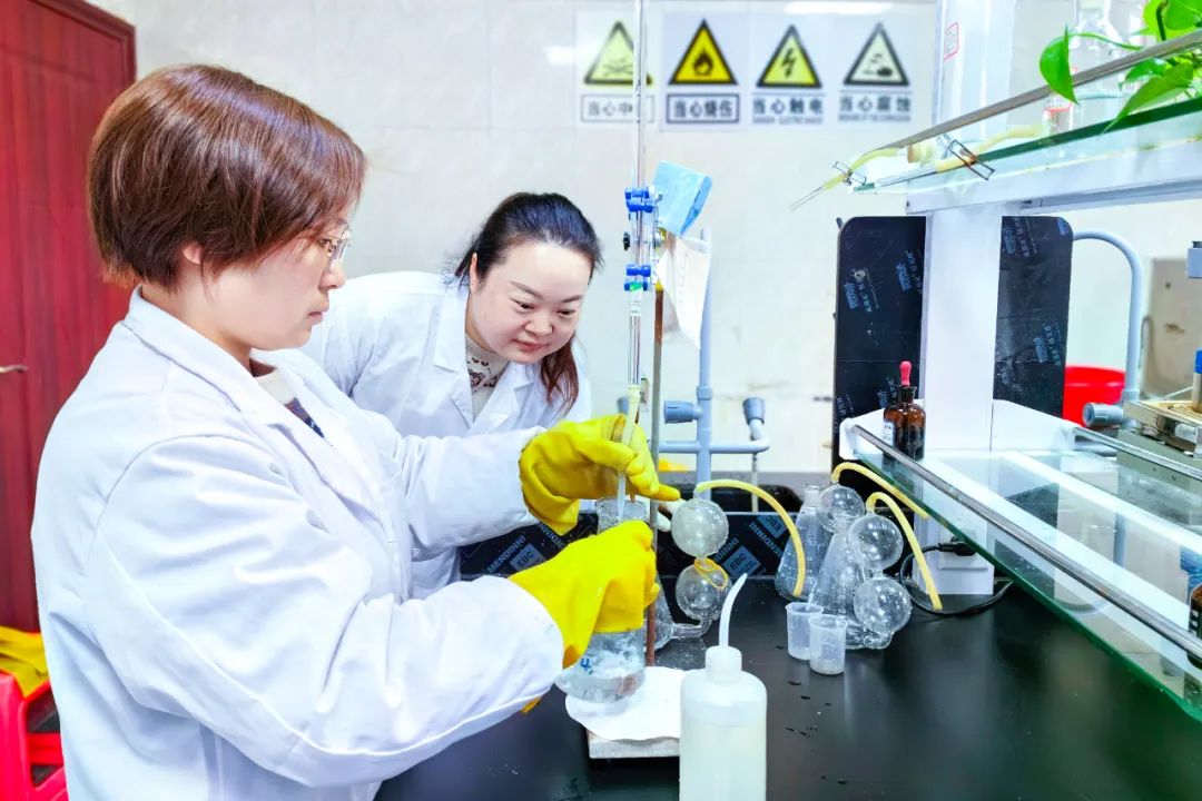 【宜化榜樣】股份公司黃冬燕：立足分析崗位，爭(zhēng)當(dāng)技術(shù)能手(圖5)