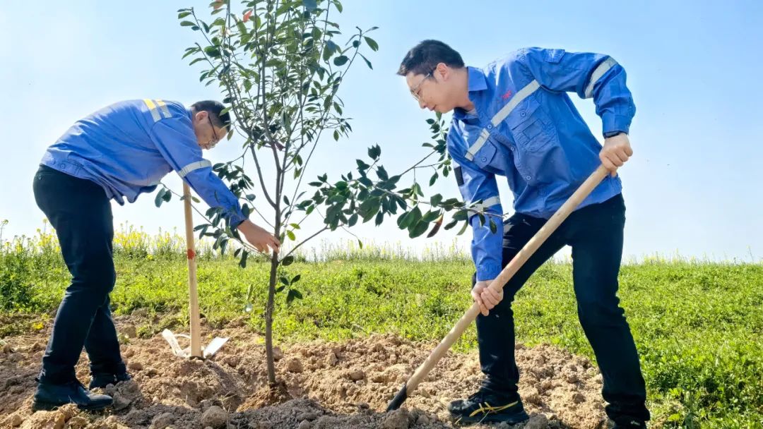 “植”此青綠共“樹(shù)”未來(lái)！集團(tuán)各公司開(kāi)展植樹(shù)活動(dòng)(圖15)