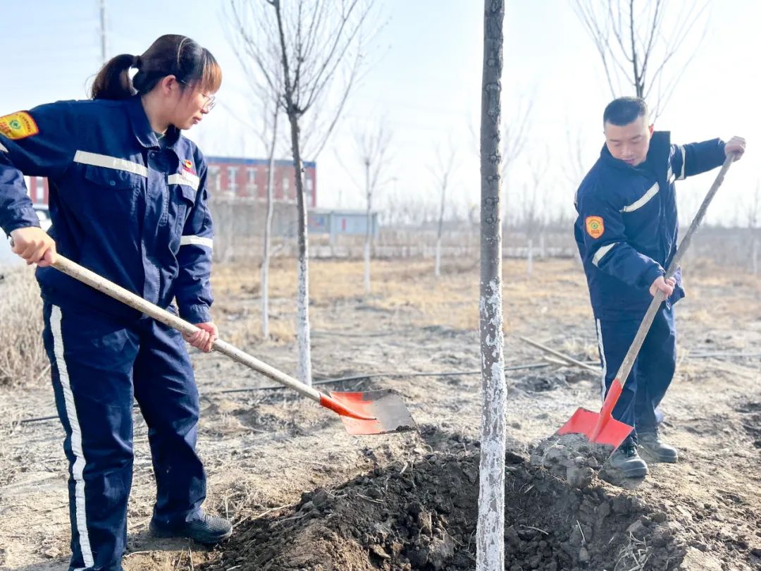 “植”此青綠共“樹(shù)”未來(lái)！集團(tuán)各公司開(kāi)展植樹(shù)活動(dòng)(圖21)