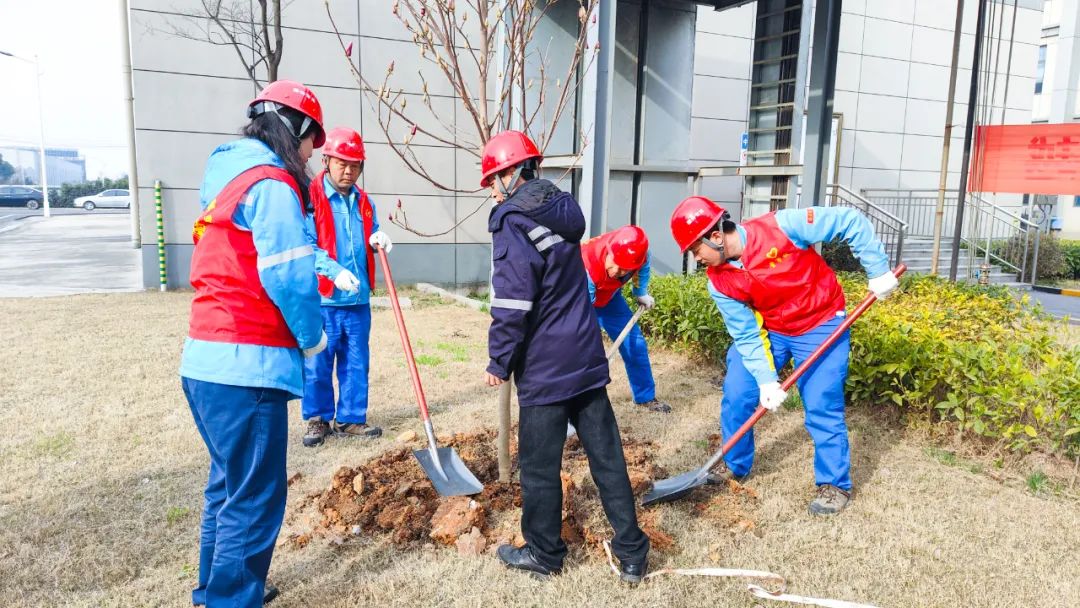 “植”此青綠共“樹(shù)”未來(lái)！集團(tuán)各公司開(kāi)展植樹(shù)活動(dòng)(圖25)